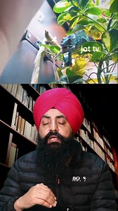 "Animal Oddities: Jaw-Dropping Facts You Never Knew" #AnimalFacts #Wildlife #Nature #SurprisingFacts #AnimalKingdom | JoT Tv Australia