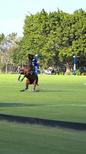 Polo Champions: A Look at Los Machitos Team
