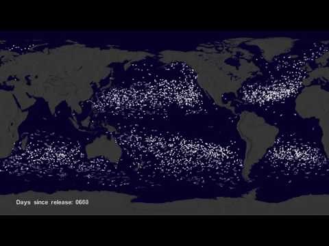 Garbage Patch Visualization Experiment