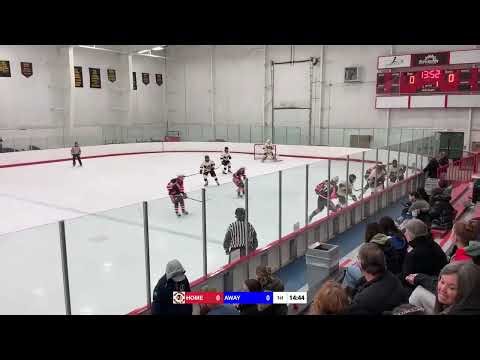 Soo Indians vs Compuware 1/31/26