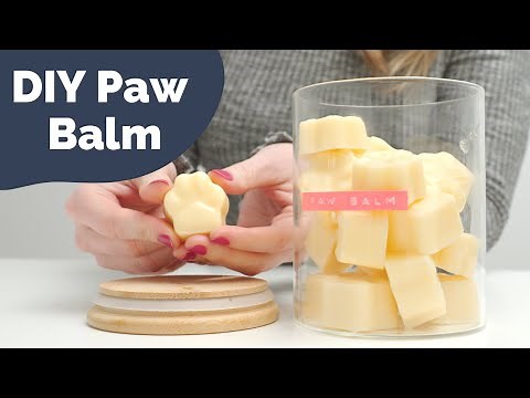How to make soothing paw balm for your dog | Easy DIY tutorial