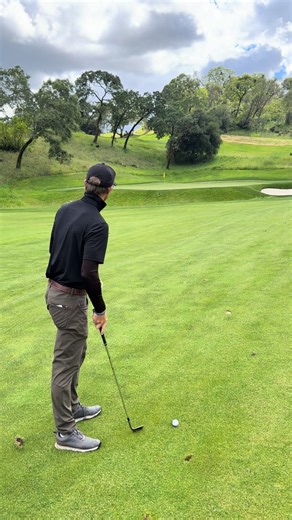 Michael Farley's Wedge: A Closer Look