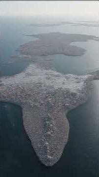 Where the World’s Plastic Really Goes: The Ocean Mystery Scientists Solved