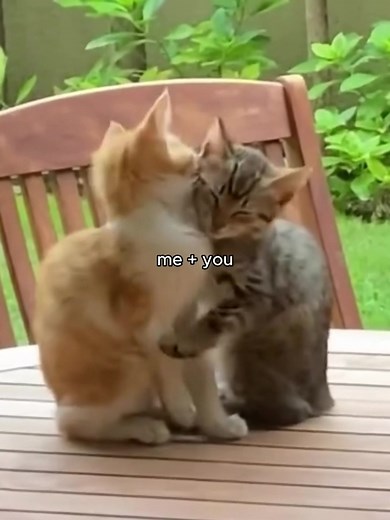 Double Take Song by Dhruv - Lyrics and TikTok Dance