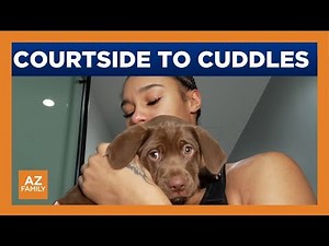 Phoenix Mercury All-Star Satou Sabally describes adopting a puppy