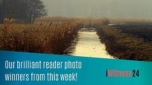 2.4K views · 22 reactions | Take a look at all our reader photos from this week! | EDP 24 | Facebook