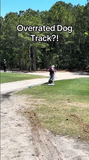 True Blue Golf Club in Myrtle Beach was… #golf #golfcourse #myrtlebeachgolf #myrtlebeach #livgolf