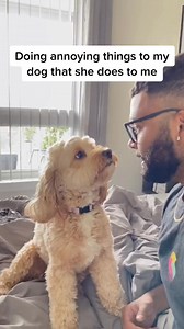 50K views · 373 reactions | Does anyone else’s dog soft bark at them for attention  #doggo #petsoftiktok #cockapoo | Luna Cackapoos | Facebook