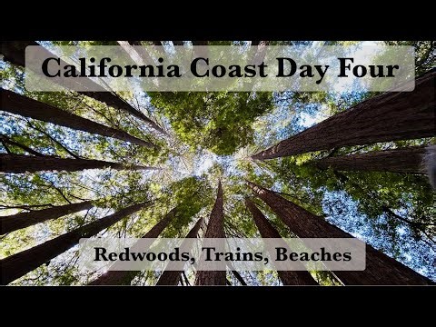 Steam Train Through the Redwoods 🚂 | Santa Cruz & California Coast Day 4