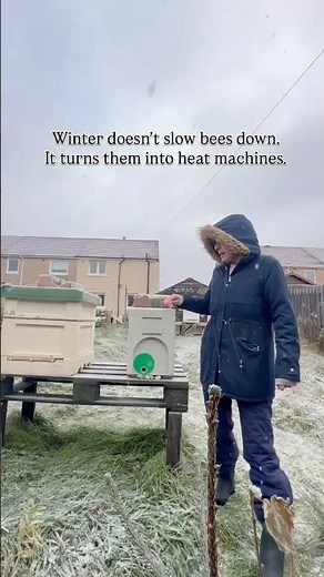 How Honey Bees Survive Winter | Secrets of Overwintering Bees #nature #insects