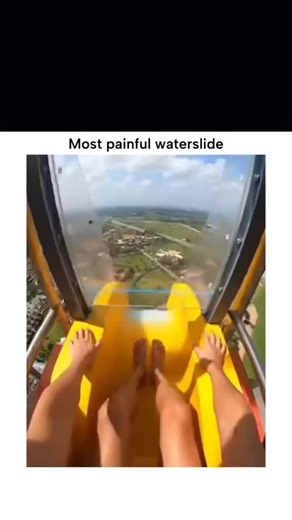 Lolify on Instagram: "#sibauak Dm for Credit / Removal The post showcases a short video of a man in a tropical setting rubbing the cone-shaped inflorescence of shampoo ginger (Zingiber zerumbet) to produce natural, foamy lather, then applying it to his hair as shampoo. Shampoo ginger, native to Southeast Asia, contains saponins—amphipathic compounds that act as surfactants to create foam—traditionally used for cleansing in Hawaiian and Polynesian cultures, per ethnobotanical research in the Jour