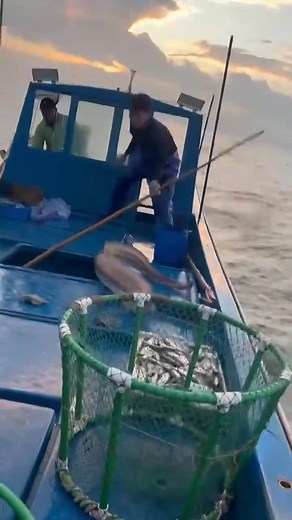 1.8M views · 7.6K reactions | মাছটি নিজে নিজেই লাফ দিয়ে নৌকায় উঠলো। #viralreel #fishing #fbviralreels #reels #viralvideo | All Time Movie 2.0 | Facebook