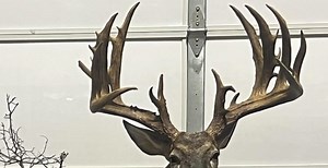 Texas Teen Recognized For Her Record Breaking Buck From 2023's Youth Season