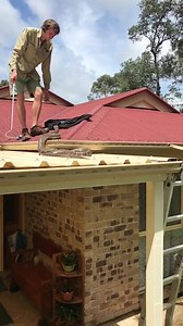 33K views · 387 reactions | ANOTHER BIG PYTHON ON ROOF AGAIN!!! The...