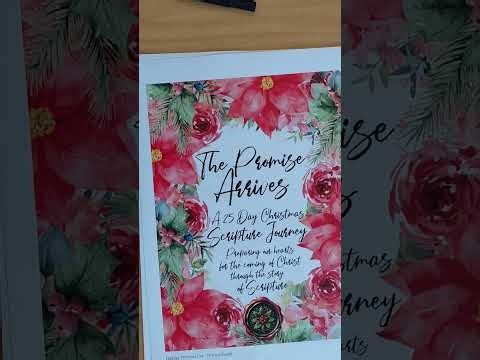 Day 10 - The Promise Arrives. A 25 Day Christmas Scripture Journey.