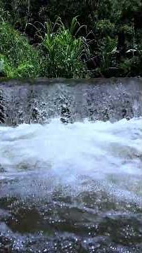 𝗗𝗲𝗲𝗽 𝘀𝗹𝗲𝗲𝗽 𝘄𝗮𝘁𝗲𝗿𝗳𝗮𝗹𝗹 𝗱𝗮𝗺 𝗔𝘀𝗺𝗿 𝗿𝗲𝗹𝗮𝘅𝗶𝗻𝗴 𝗦𝗼𝘂𝗻𝗱𝘀