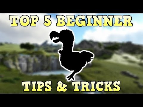TOP 5 BEGINNER TIPS & TRICKS | ARK SURVIVAL EVOLVED
