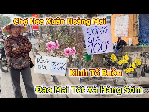 Hoang Mai Spring Flower Market: Worried about the gloomy economy, selling off goods early.