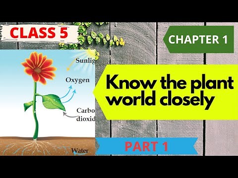 CLASS 5|BASIC SCIENCE| CHAPTER 1|KNOW THE PLANT WORLD CLOSELY|PART 1|MALAYALAM