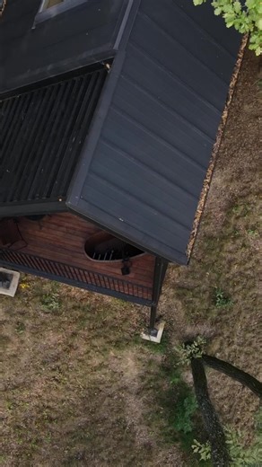 Fekete Rigó #noszvaj #noszvajonpihenek #noszvajatolel #feketerigo #noszvajfeketerigo