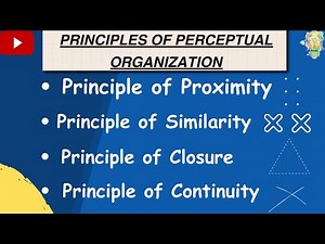 Perceptual organisation | Principles of Perceptual organisation | Class 11 Psychology Chapter 5 | ob