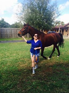 How To Use Star Stable Hack - Tutorial - formationcontinue.over-blog.com