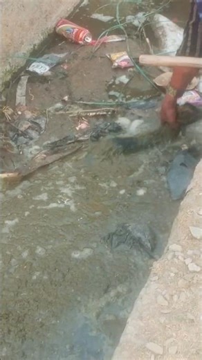 nale me janvar ka resq video‪@BakLolVideo‬