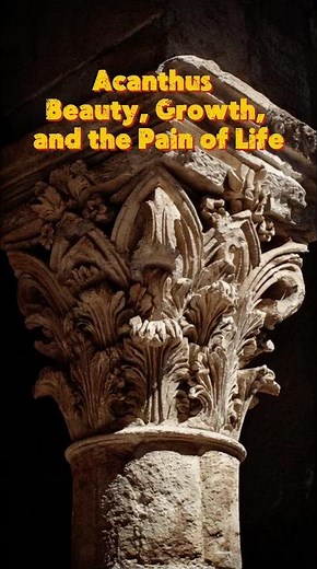 Acanthus — Beauty, Growth, and the Pain of Life #mythology #symbolism #psychology