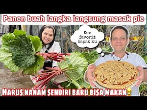 PANEN BUAH LANGKA LANGSUNG MASAK PIE || BUAH RUBHARB YANG JARANG ADA