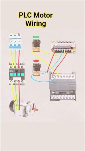 PLC Motor Wiring connection #electrical #circuitdiagram #plc #plc_programming