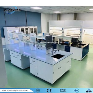 [Hot Item] Lab Furniture Steel Central Laboratory Furniture with Reagent Shelf and Accessories Jh-SL081