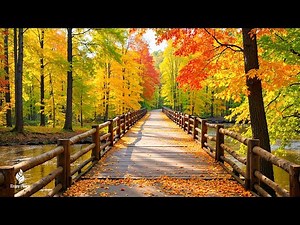 Beautiful Relaxing Music 🍁 Autumn Melodies for Stress Relief & Healing