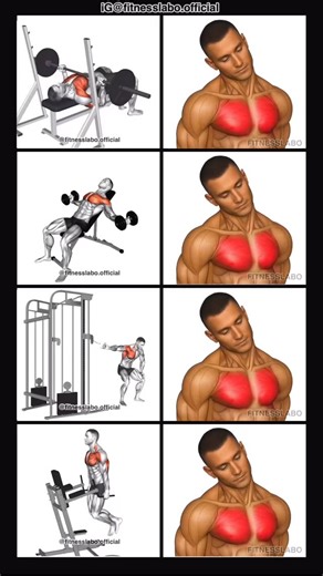 48K views · 313 reactions | ✅ How to Build a Wider Chest ① Reverse Grip Bench Press ② Incline Dumbbell Fly ③ Cable One Arm Fly ④ Dips 3 sets 10-12 reps | Fitnesslabo | Facebook
