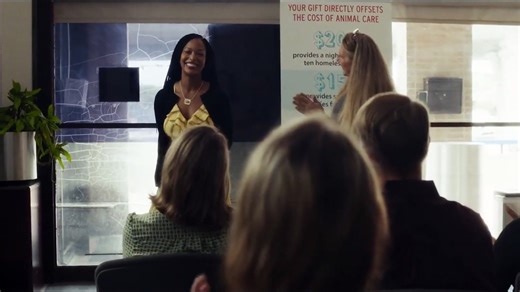 TEST PATTERN Trailer