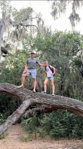 13 reactions · 3 comments | This was our first time ever playing disc golf what a fun day!!!! Loved it! #discGolf #outdoors #familyday #lakeland | Justino Zoppe | Facebook
