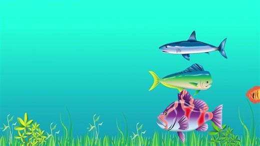 Under Water, Fish, Underwater