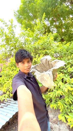 (Part 3) ai flower pot tut Gaya￼😭😭👈