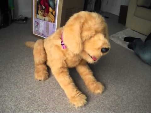 Biscuit the Robot Dog - An Unusual Mechanised Fun Toy for Children