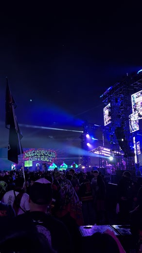 Exploring the Impact of Vicious Riddim in EDM