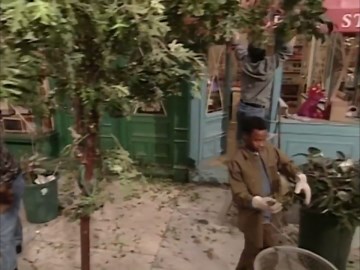 Sesame Street: Episode 3977