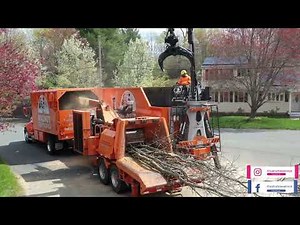 Walnut Tree Service THE MOST TRUSTED NAME IN THE TREE INDUSTRY.