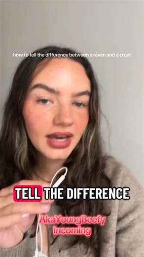 Jordan Scott Huggins on Instagram: "@kaitlincreations Umm Do YOU know the difference between a raven and a crow?!"