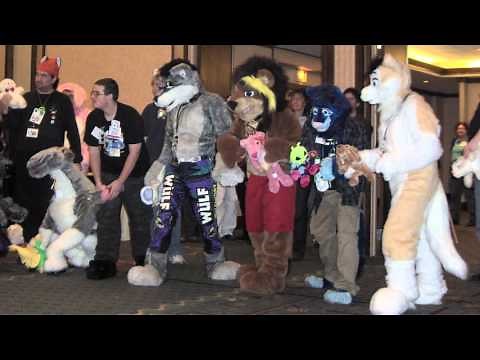 WHAT IS A MURRSUIT?