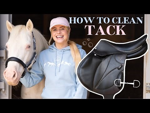 How to clean your tack, and reassemble a bridle | Beginners Series |This Esme Ad