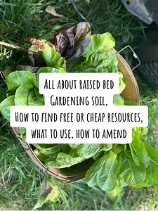 All about raised bed Gardening soil, How to find free or cheap resources to fill your raised bed gardens, what to use, and how to amend the soil #raisedbedgarden #gardensoil #soilhealth #garden #gardening #gardening101 #gardentips #gardeningtips #greenscreen | London's Priorities
