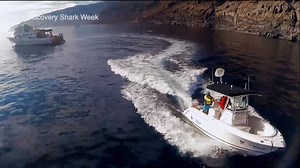 223K views · 2.1K reactions | Aloha, Deep Blue! This massive 20-foot...