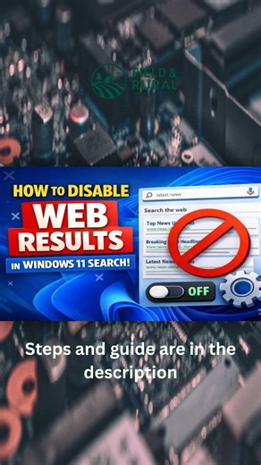 Disable Web Results in Windows Search for a Better Experience!