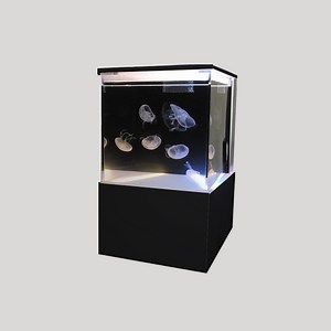 eon10 — Sunset Marine Labs - Live Jellyfish & Aquariums