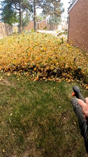 Mesmerizing Leaf Blowing for Ultimate Cleaning Satisfaction
