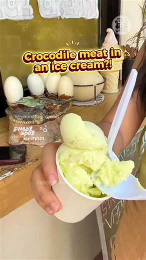 We tried the viral Crocodile Ice Cream in Davao! 🐊🍦 Exotic food challenge at Crocodile Park! 📍Davao Crocodile Park & Zoo #food #exotic #review #pinoy #filipino | When In Manila